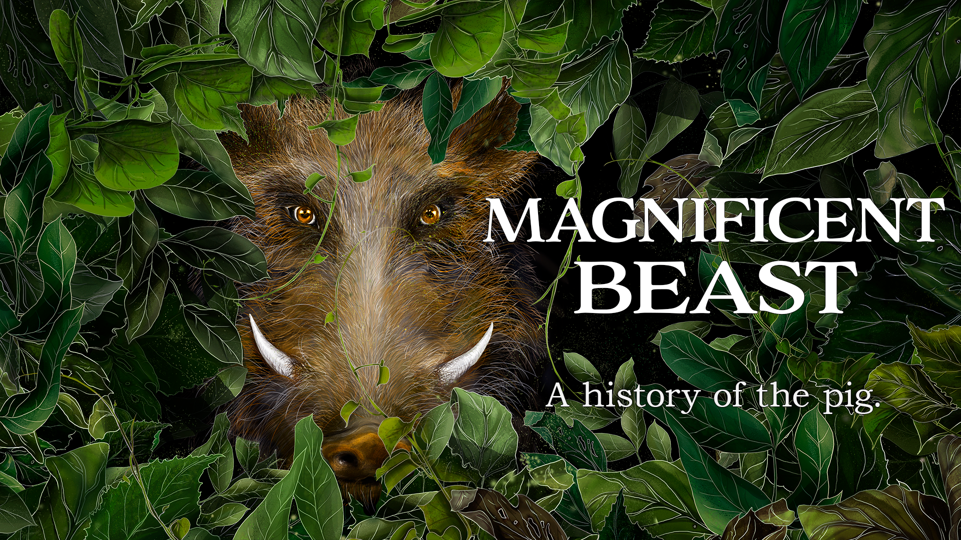 The Pig: Food, Friend or Foe?