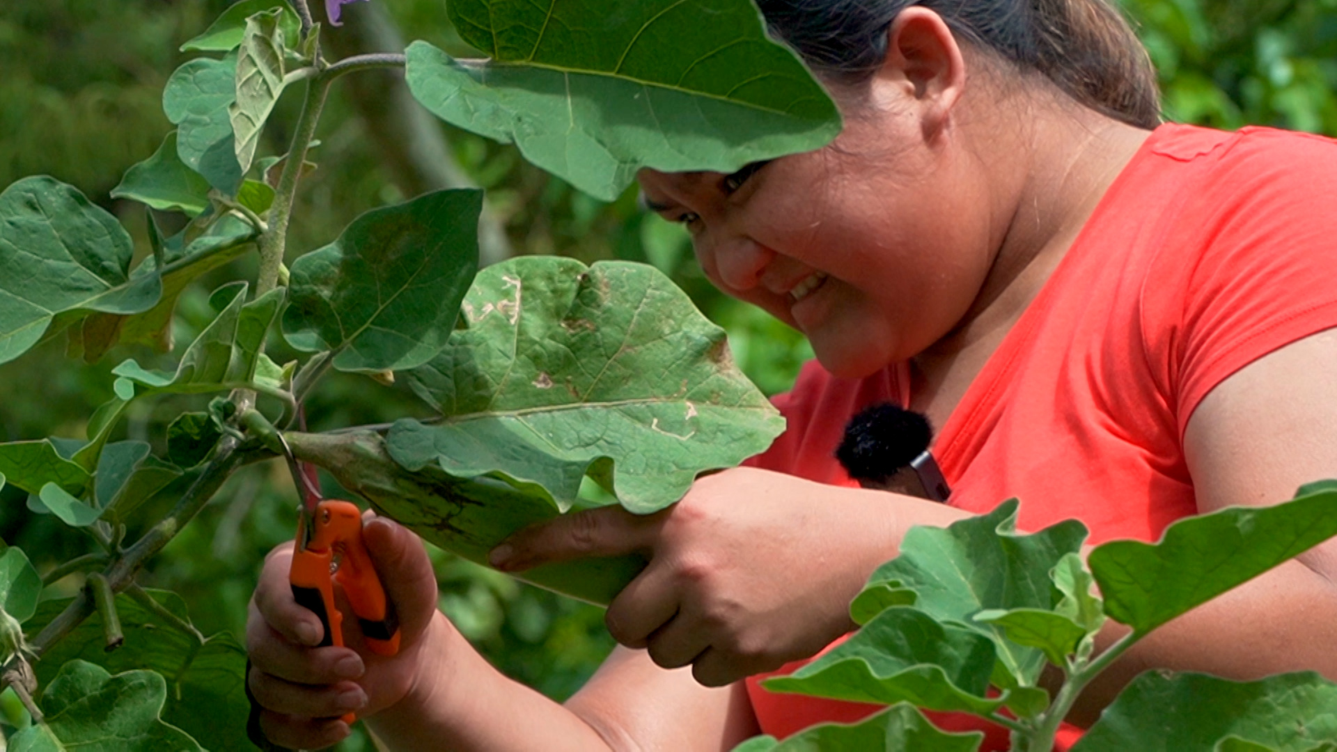 Learning Outside of the Classroom