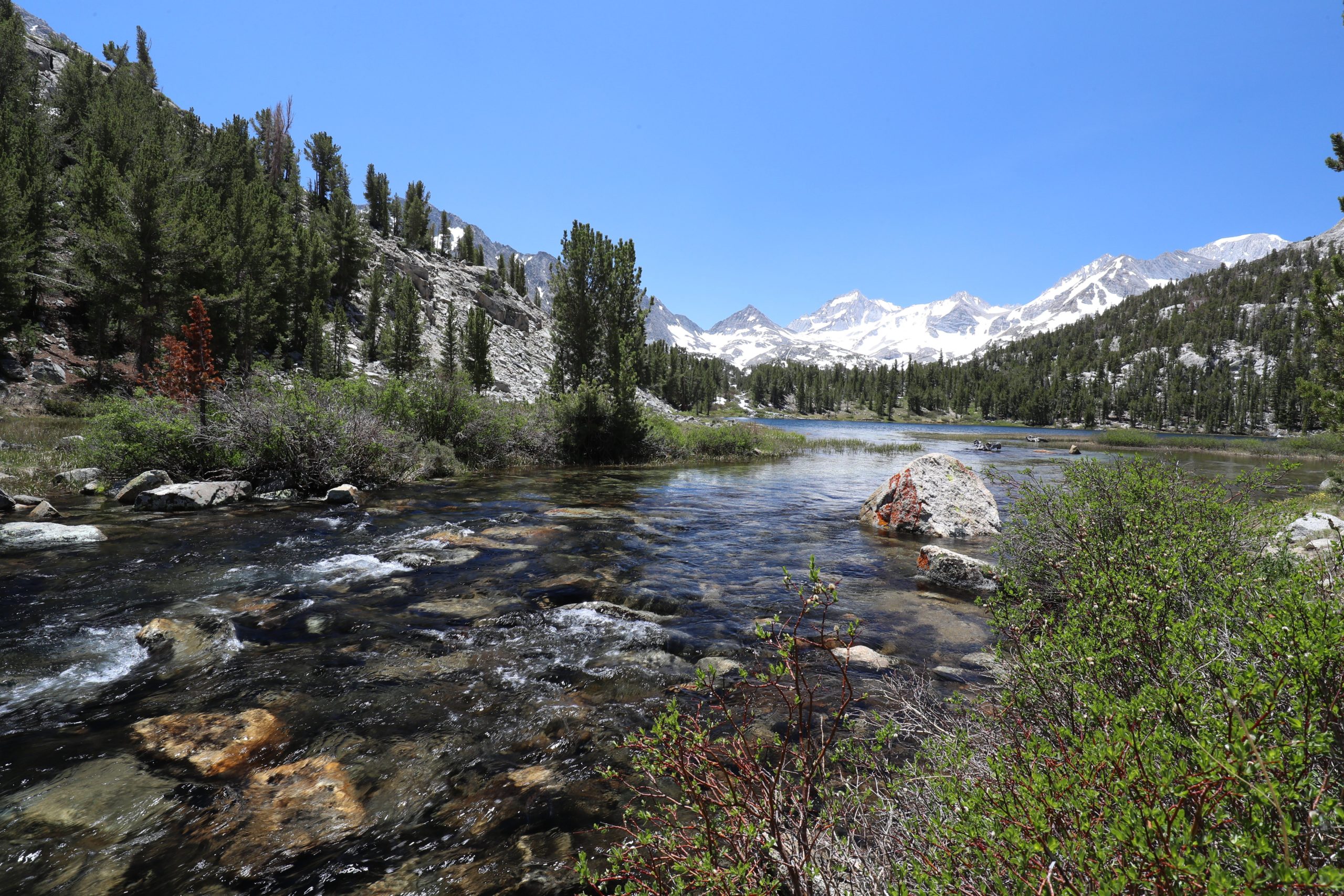Celebrating California’s Wildlife and Wild Places