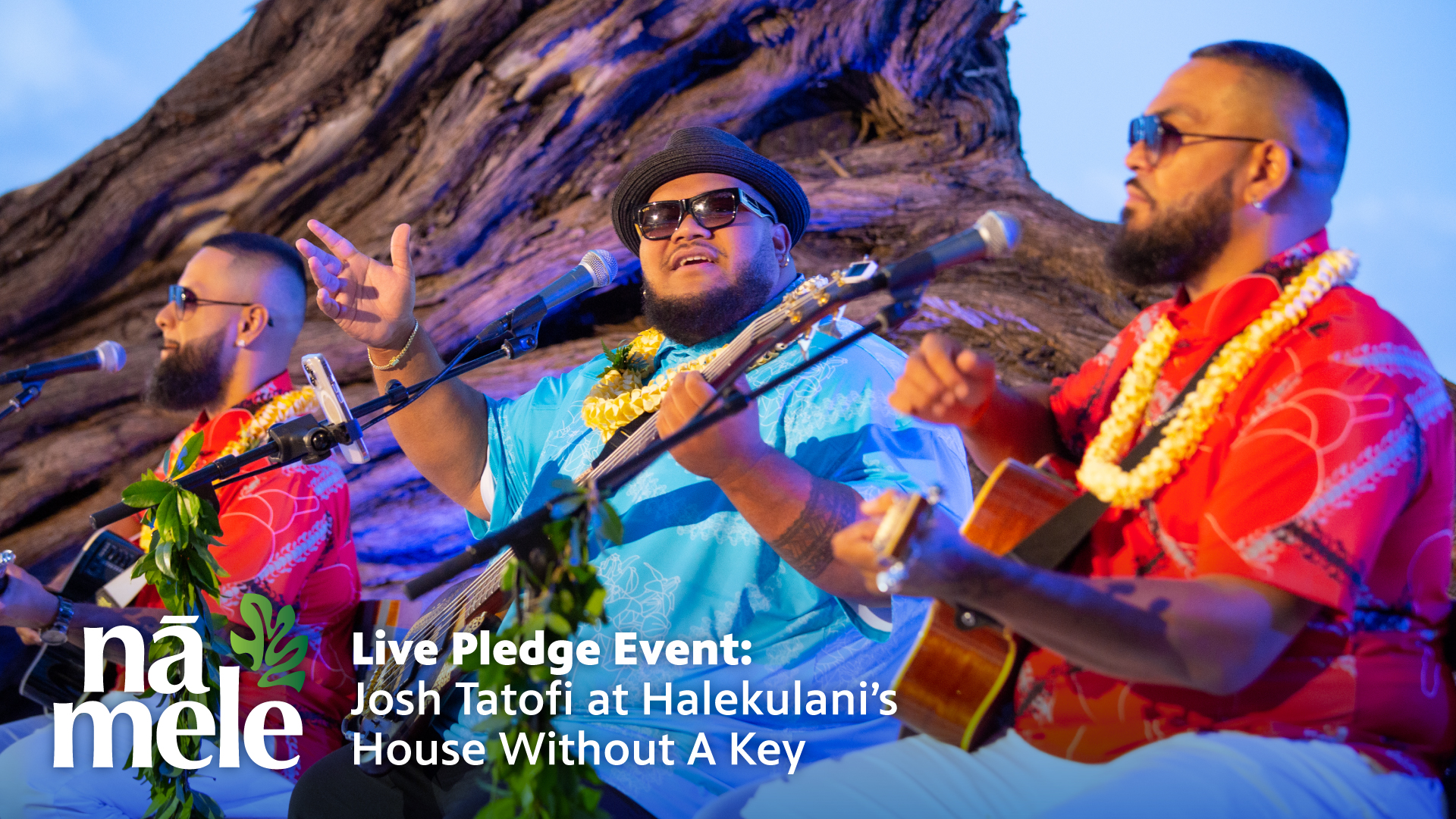 A Promise of a Special Evening of Song, Dance and New Memories