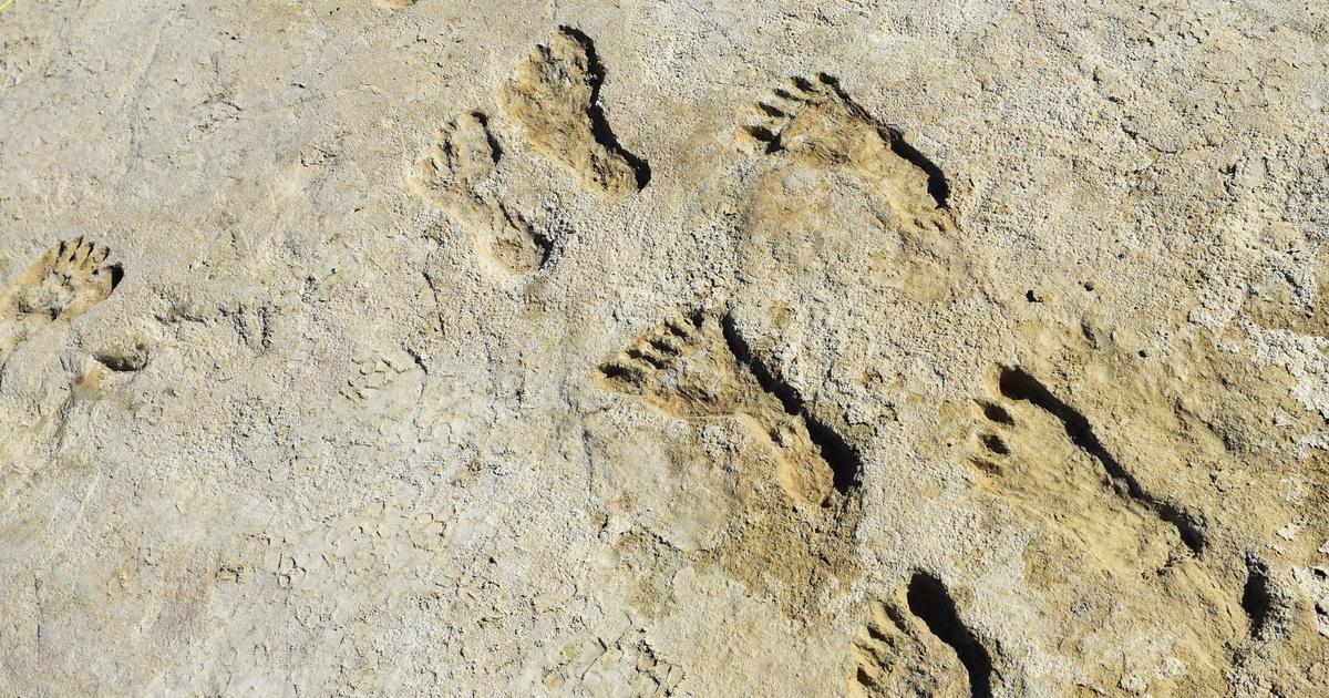 NOVA <br/>Ice Age Footprints