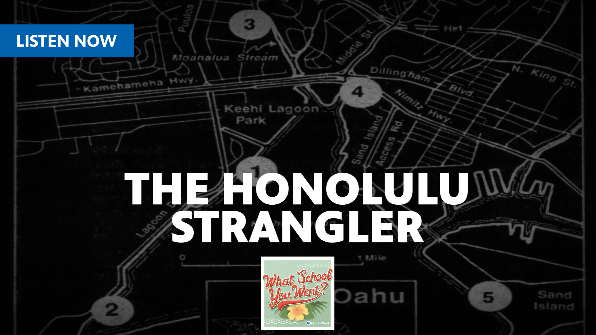 The Honolulu Strangler <br/>with Robbie Dingeman