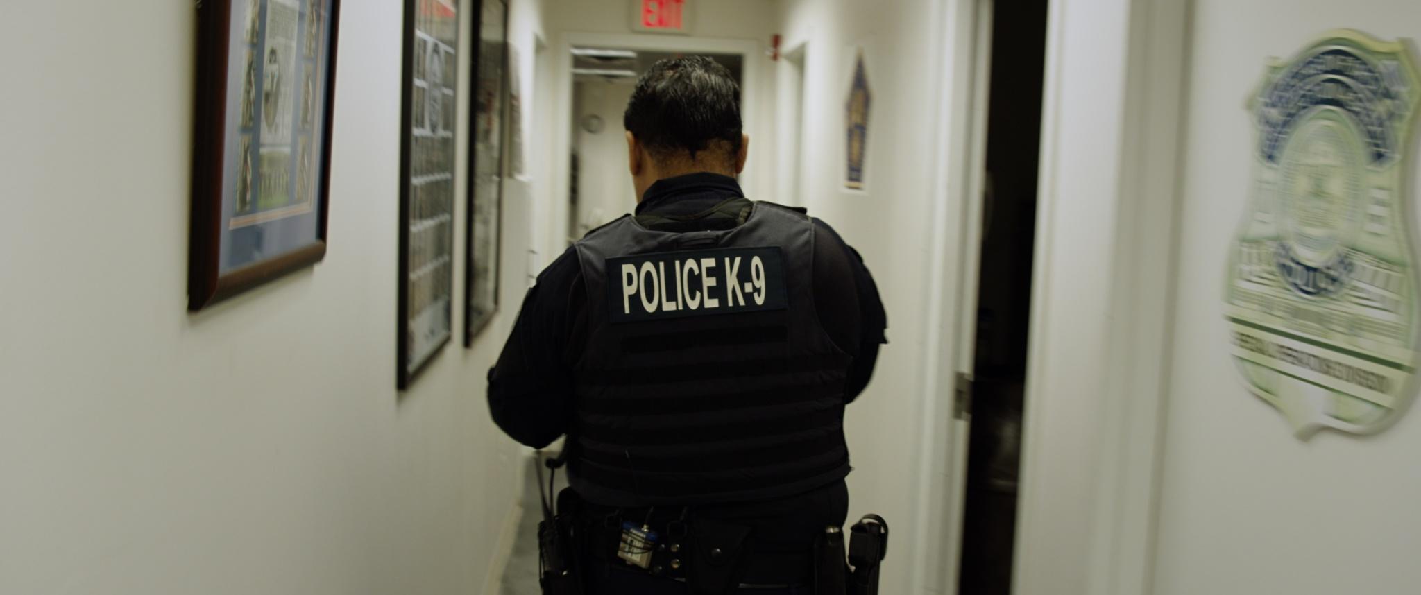 Pacific Heartbeat: Corridor Four