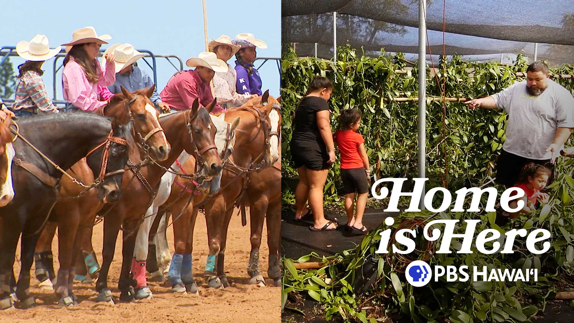 Home is Here <br/>From Makawao to Lā‘ie