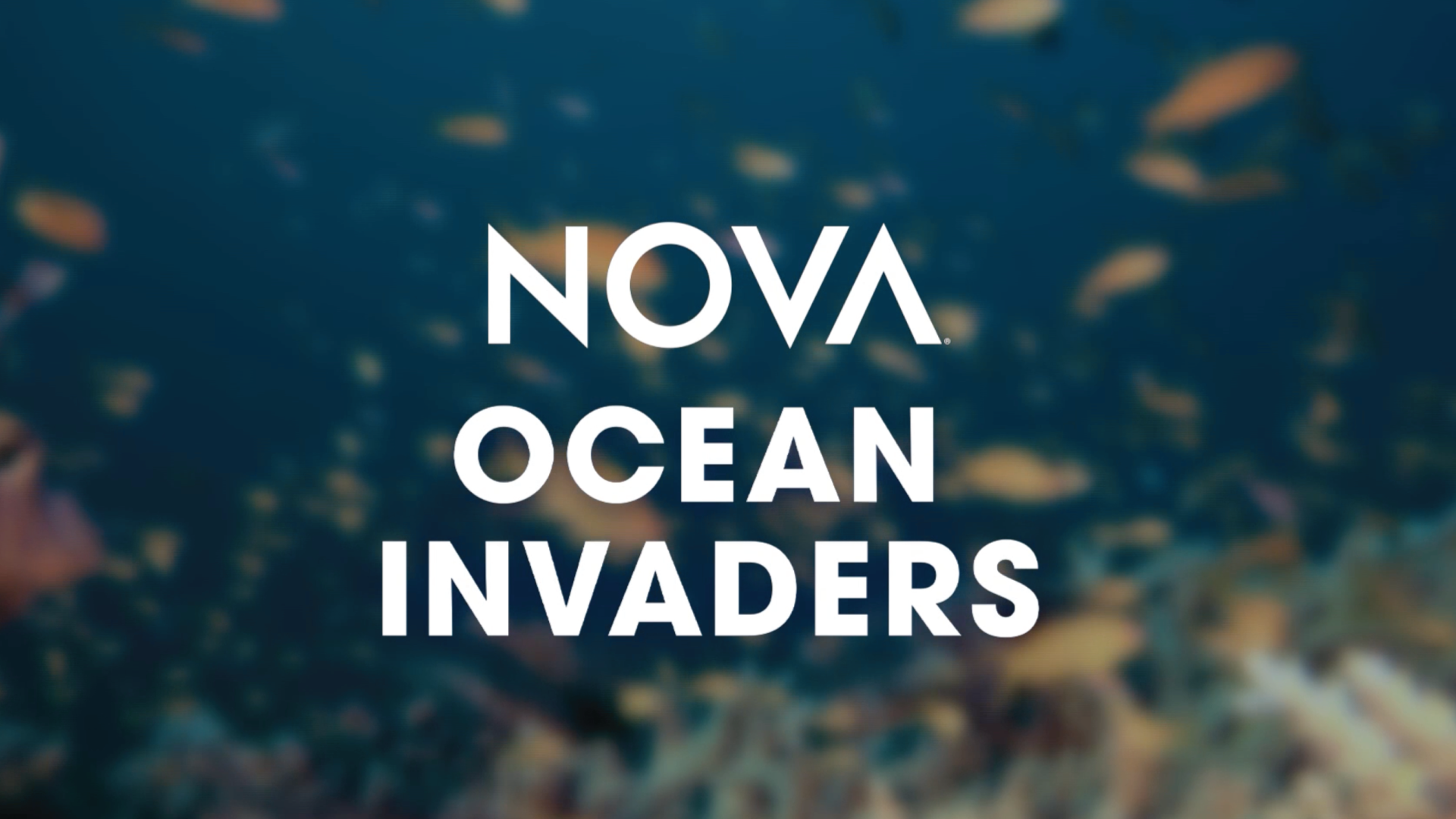 Ocean Invaders