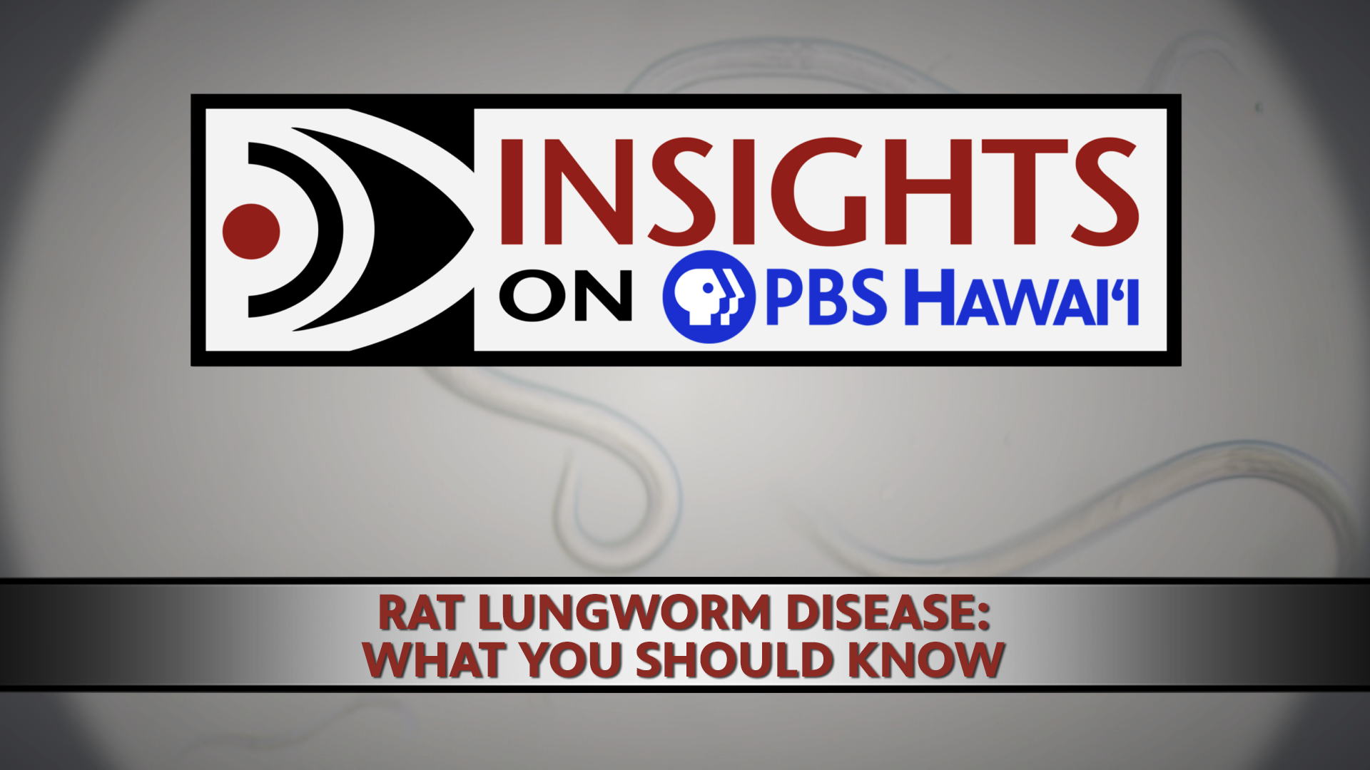 RAT LUNGWORM DISEASE: WHAT YOU SHOULD KNOW