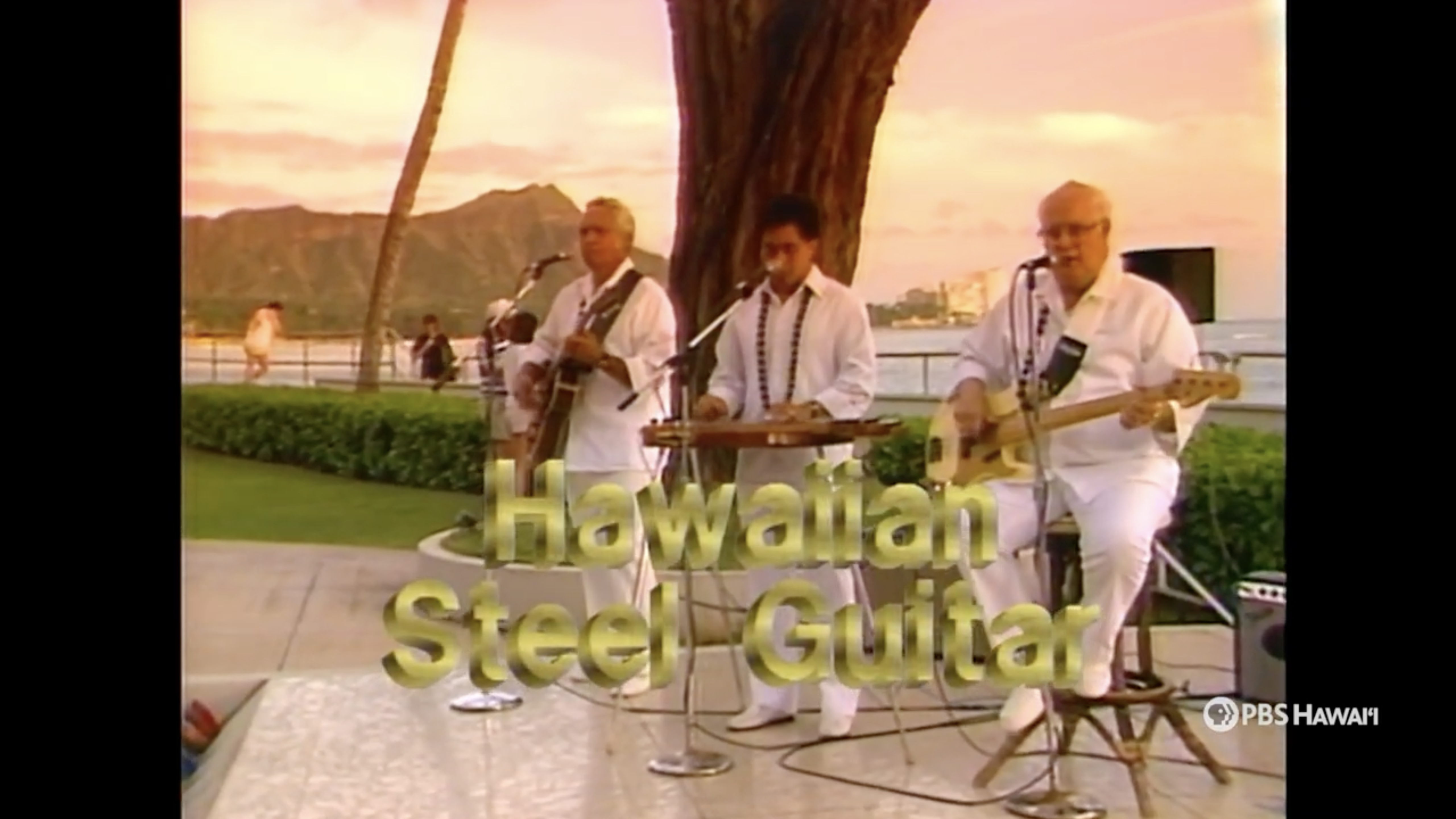 Hawaiian Steel Guitar
