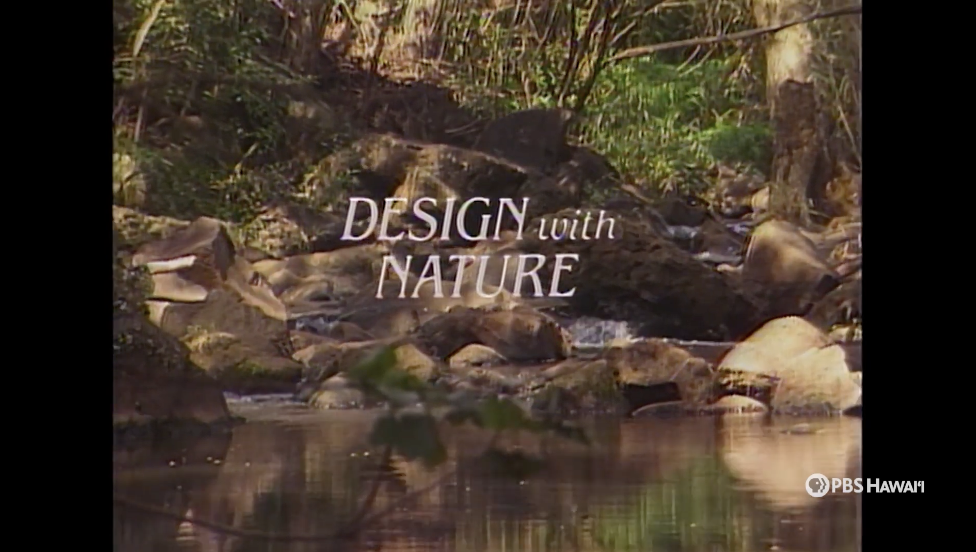 Incorporating Nature into Architectural Design | PBS HAWAIʻI CLASSICS