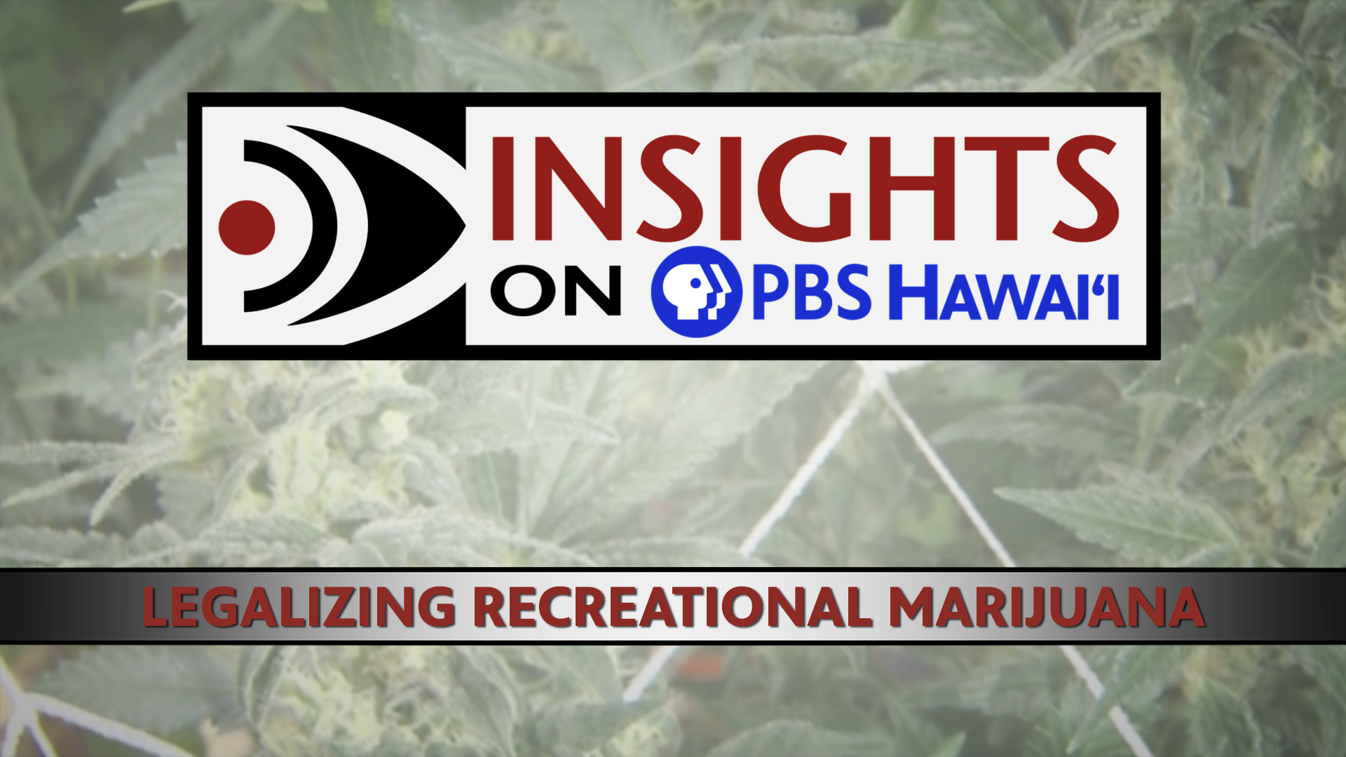 Legalizing Recreational Marijuana