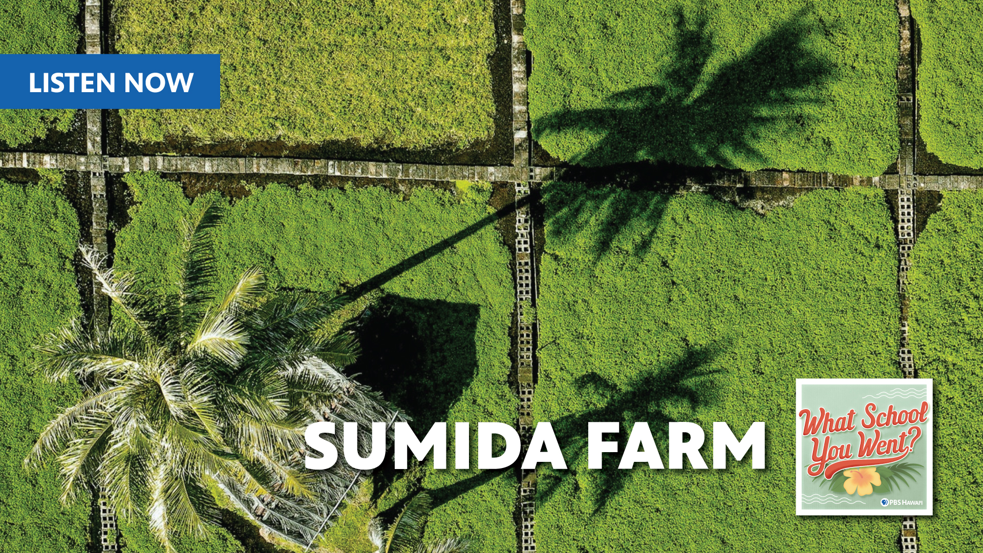 SUMIDA FARM with Emi Suzuki