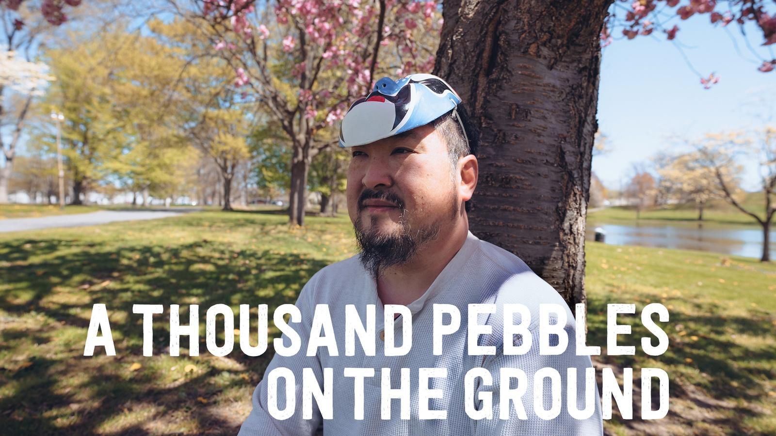 A Thousand Pebbles on the Ground