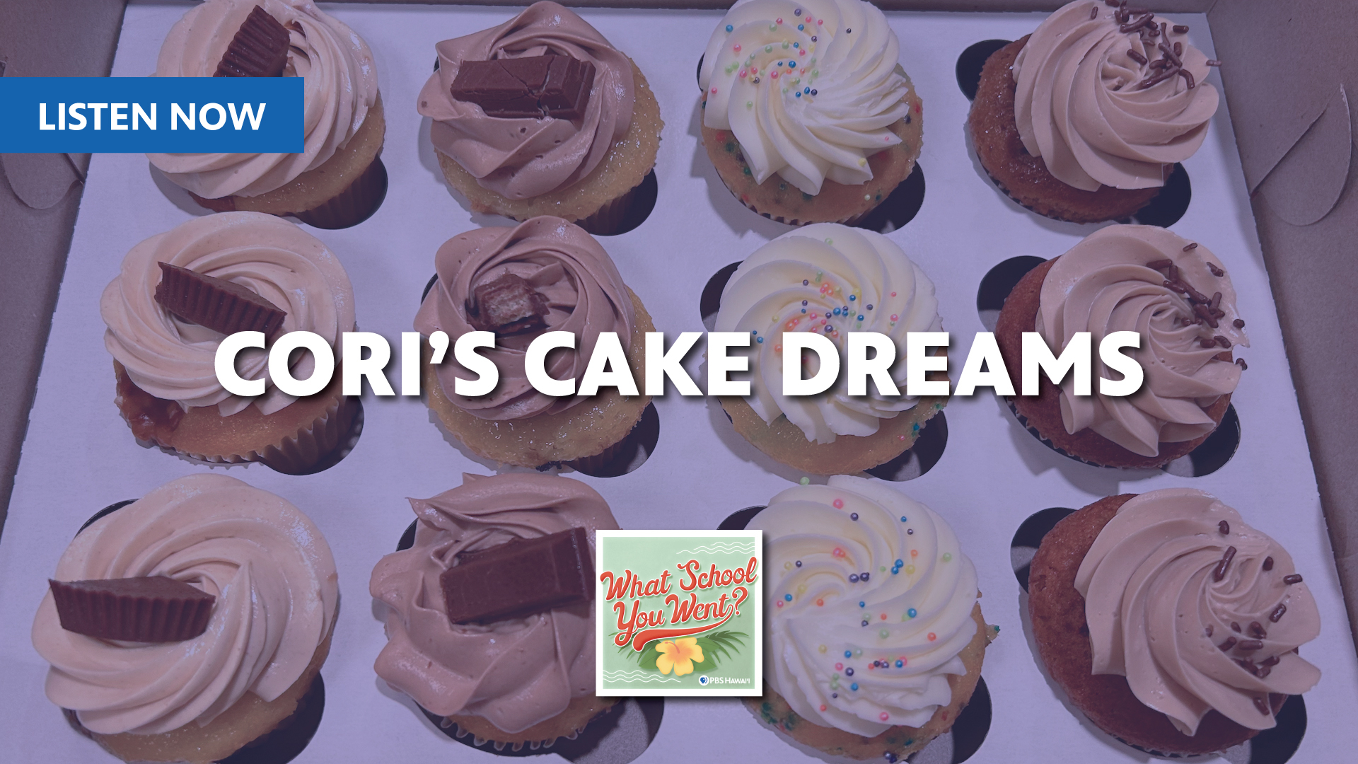 WHAT SCHOOL YOU WENT? <br/>CORI&#8217;S CAKE DREAMS