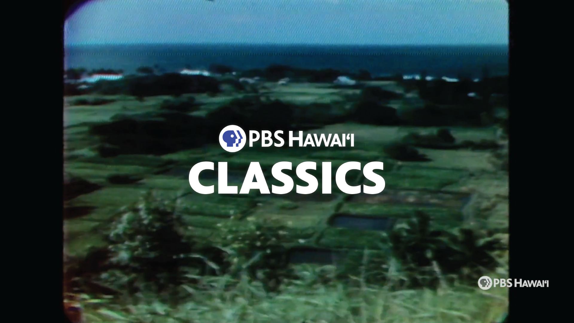 PBS HAWAIʻI CLASSICS <br/>Taro Farmers in Keʻanae and Wailua on Maui
