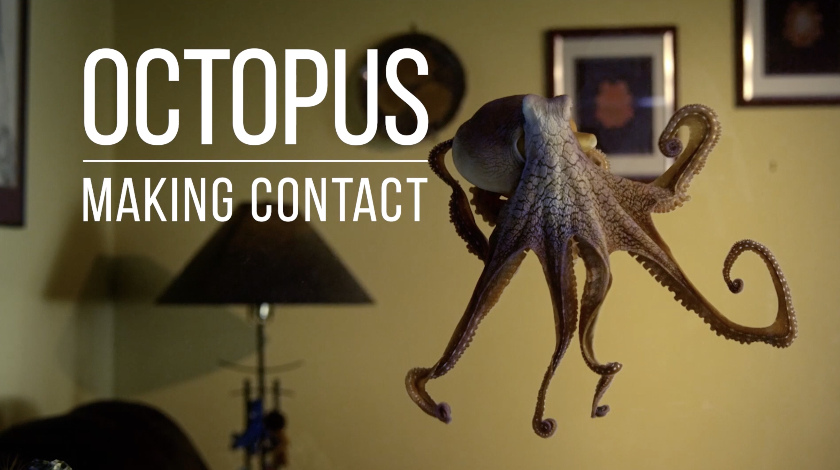 NATURE <br/>Octopus: Making Contact