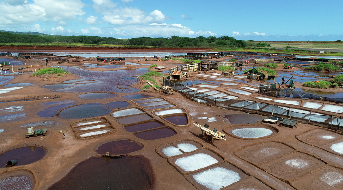 Kauaʻi: Paʻakai <br/>FAMILY INGREDIENTS