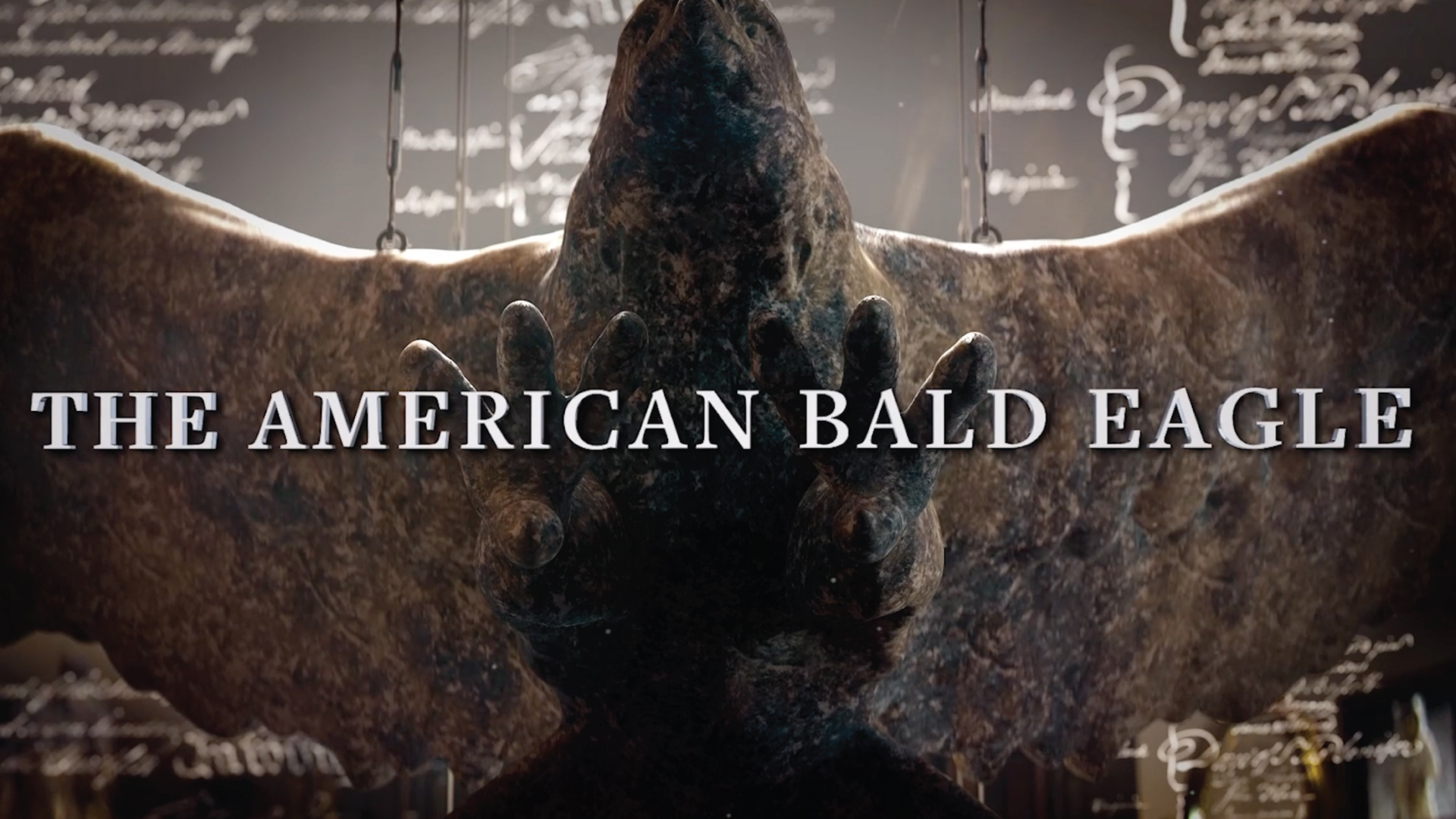 ICONIC AMERICA <br/>The American Bald Eagle