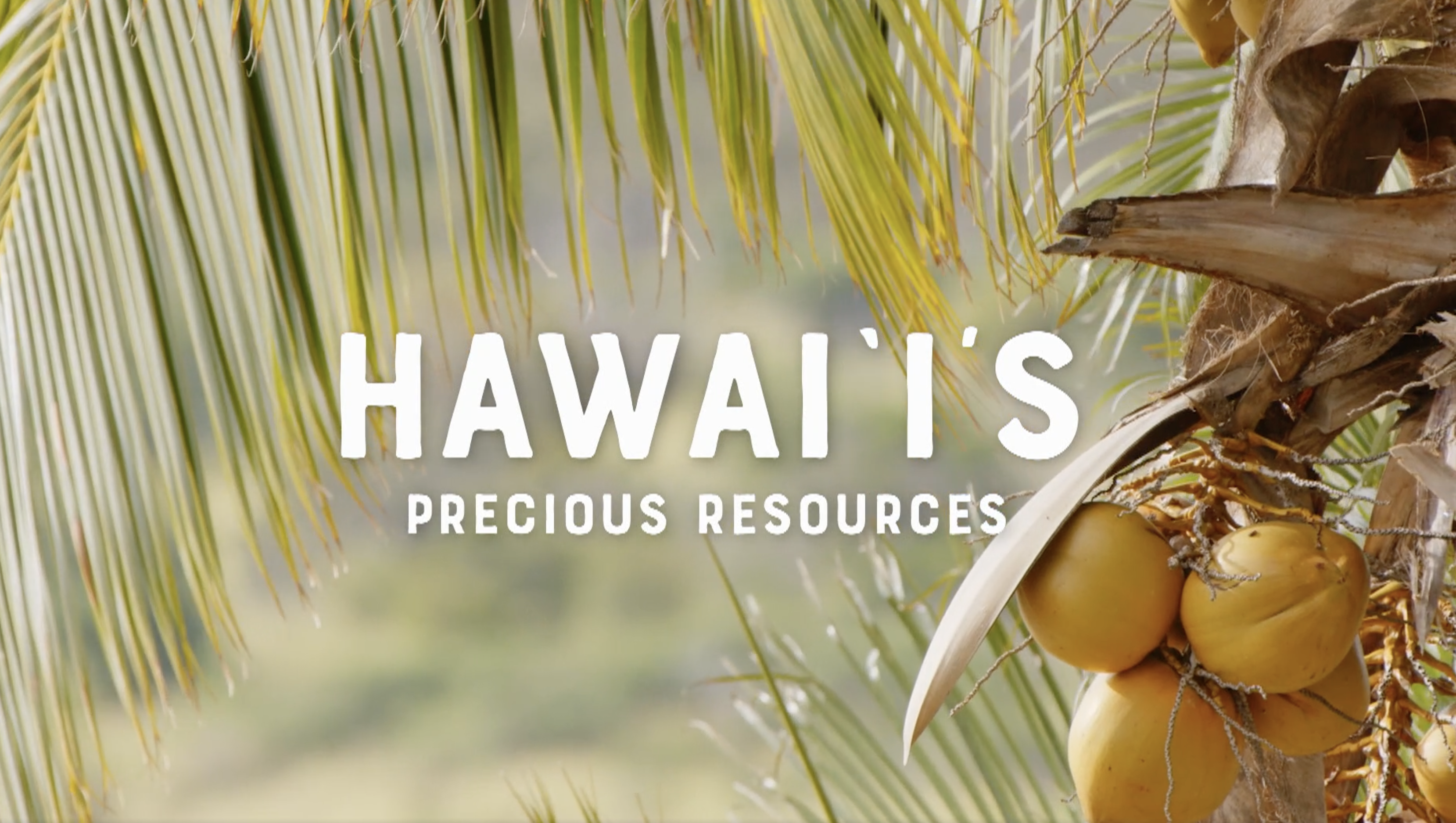 PACIFIC HEARTBEAT <br/>Hawaiʻi’s Precious Resources