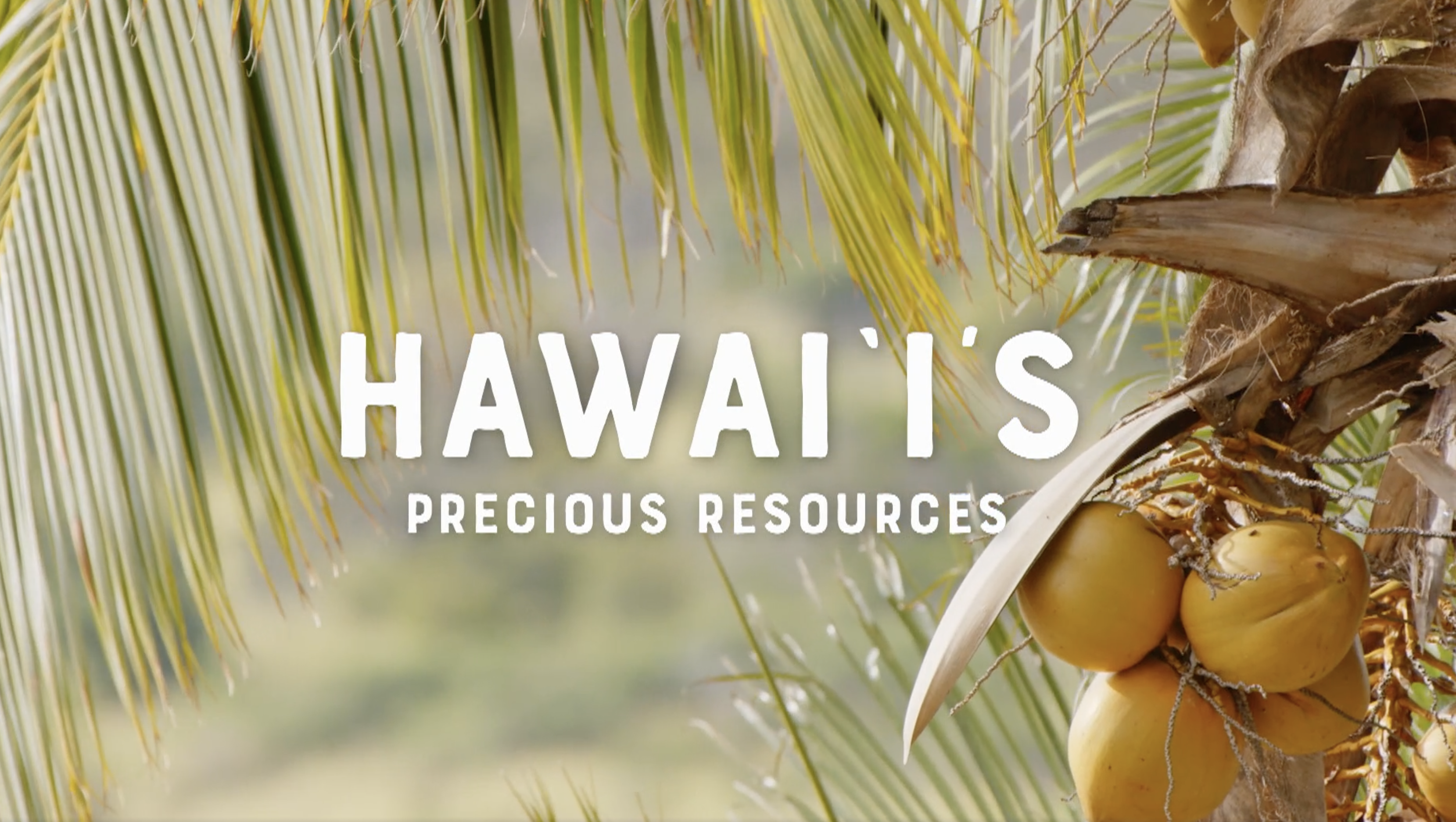 Hawaiʻi’s Precious Resources