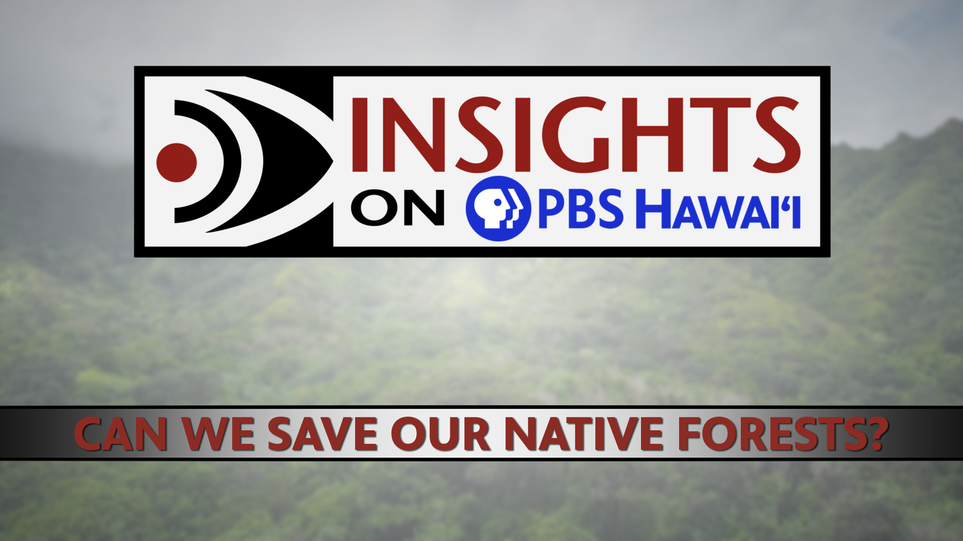 INSIGHTS ON PBS HAWAIʻI <br/>Can We Save Our Native Forests?