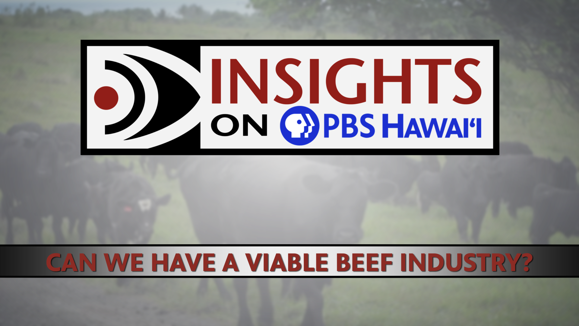 INSIGHTS ON PBS HAWAIʻI <br/>Can We Have a Viable Beef Industry?