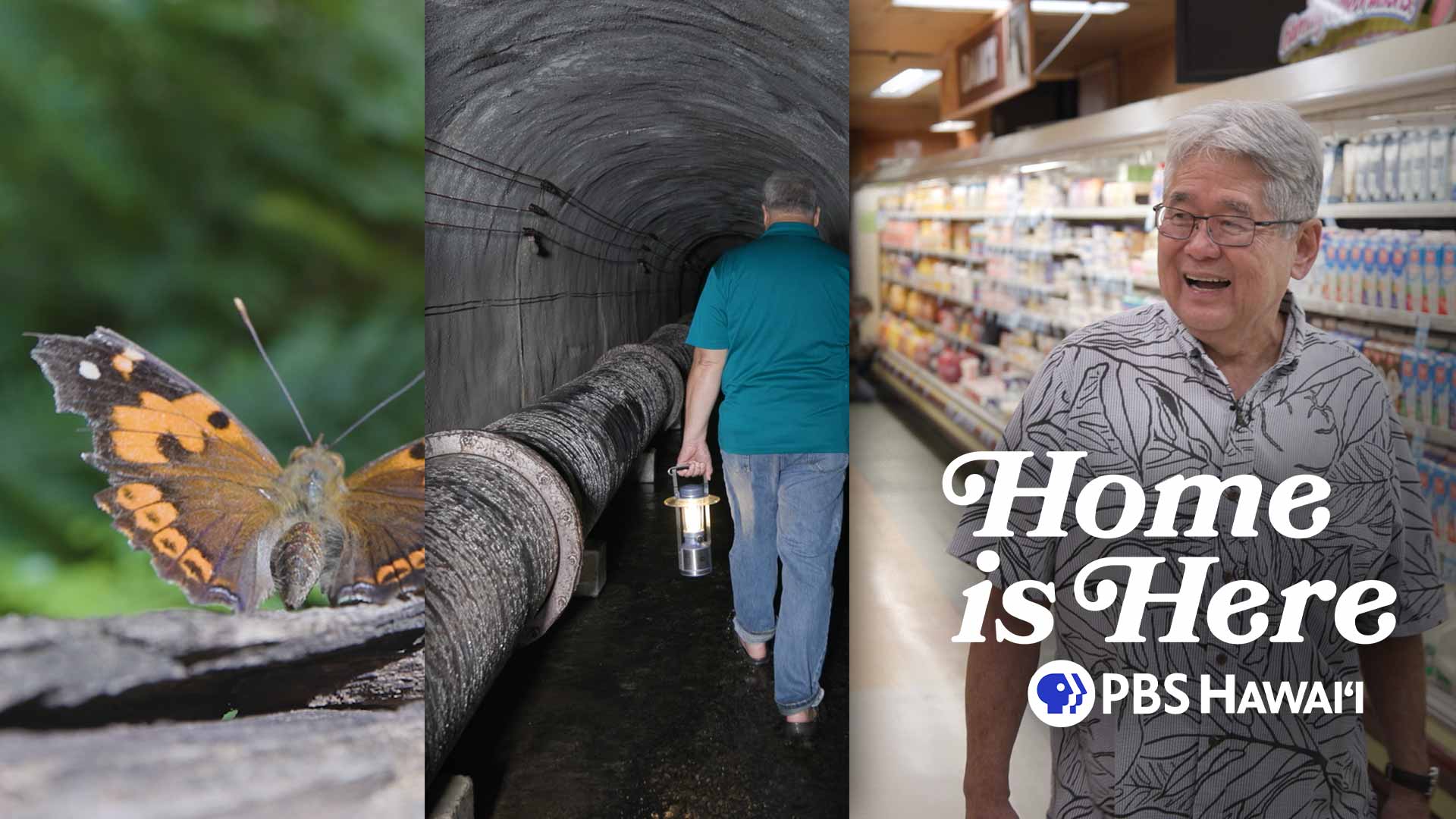 Home is Here <br/>The Man & the Pan, Honolulu Board of Water Supply, Butterflies and Snails