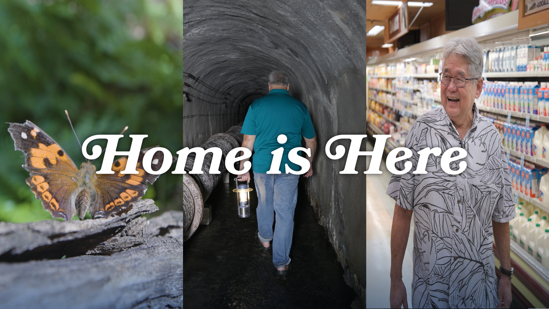 Home is Here <br/>The Man &#038; the Pan, Honolulu Board of Water Supply, Butterflies and Snails