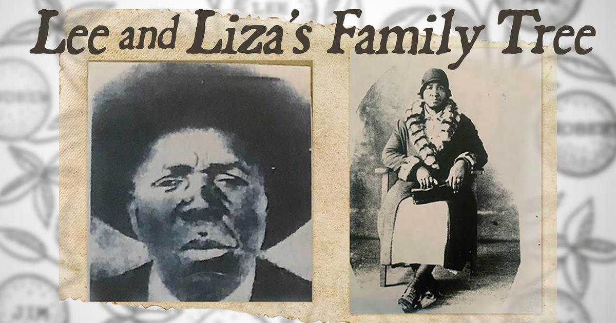 NOVA <br/>Lee and Lizas&#8217;s Family Tree