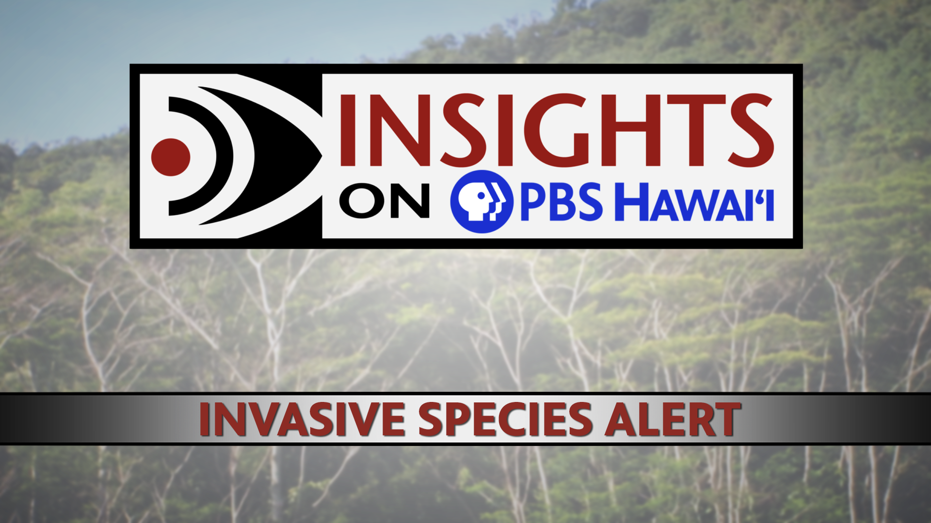 INSIGHTS ON PBS HAWAIʻI <br/>Invasive Species Alert