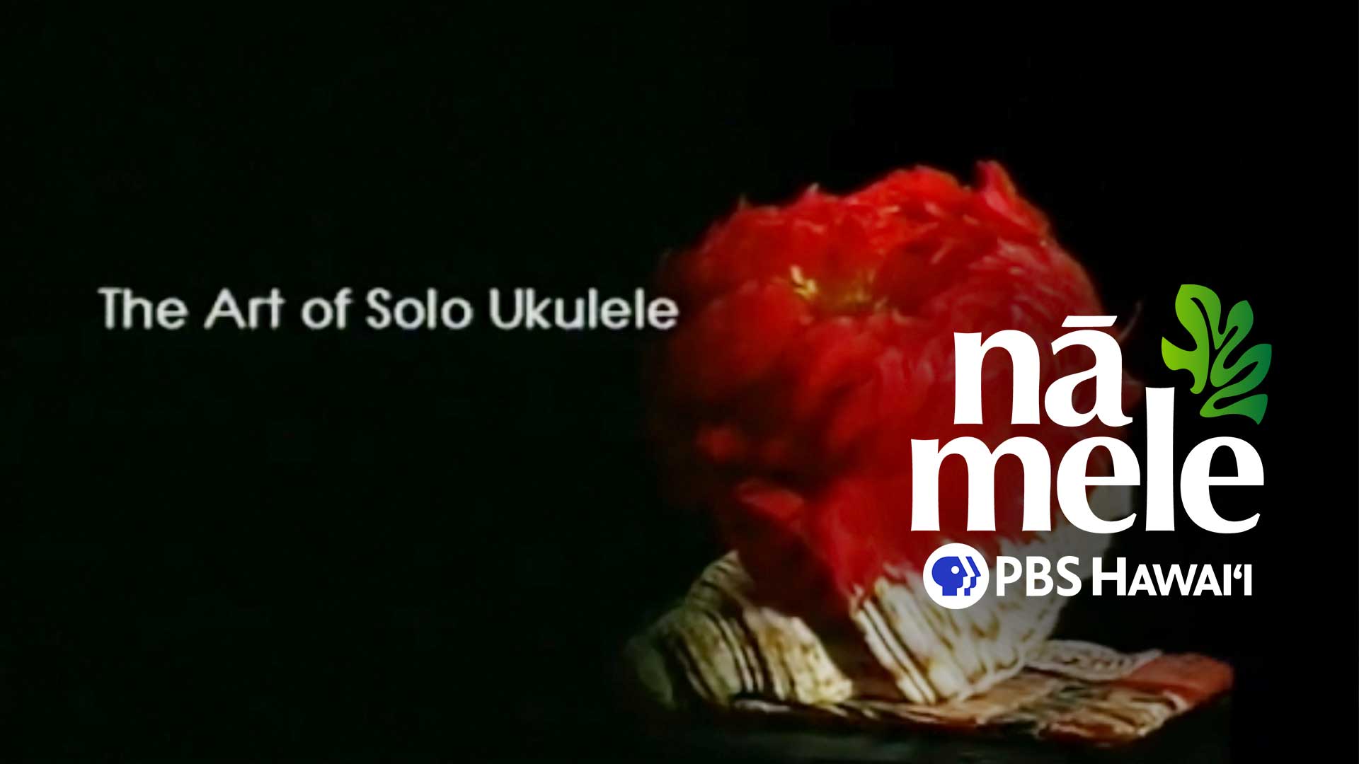 Nā Mele <br/>The Art of Solo ʻUkulele