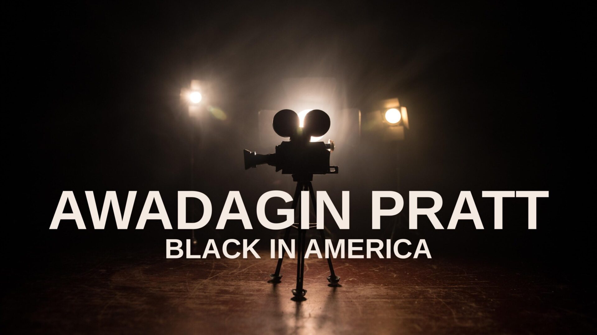 AWADAGIN PRATT: BLACK IN AMERICA
