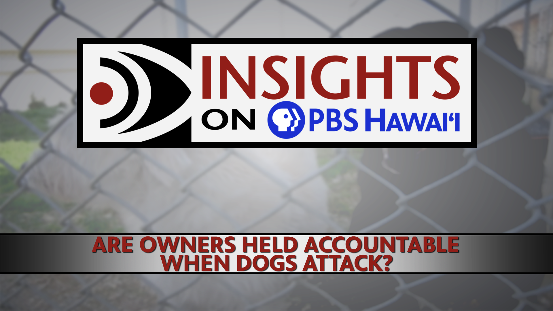 INSIGHTS ON PBS HAWAIʻI <br/>Are Owners Held Accountable When Dogs Attack?