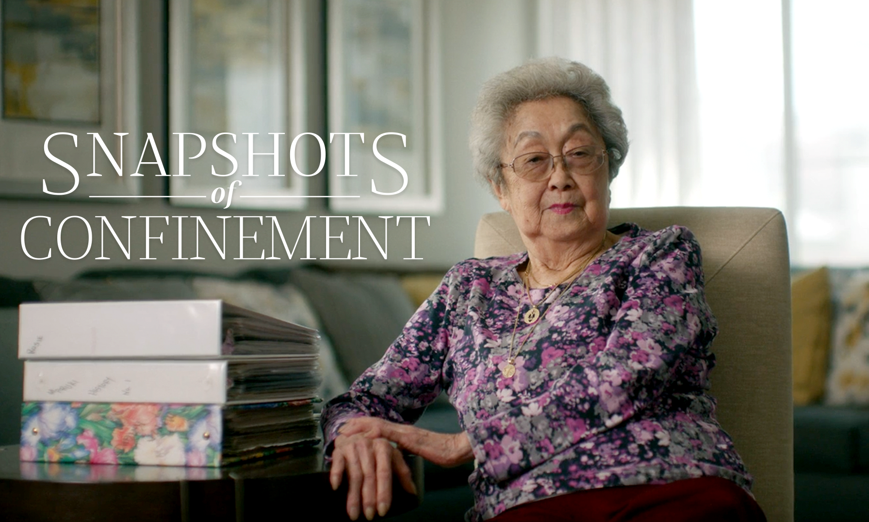 Snapshots of Confinement
