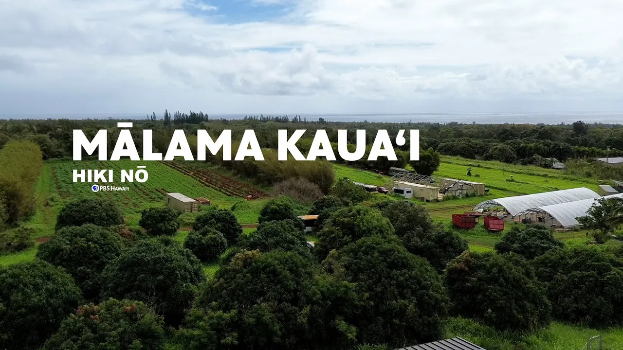 This Nonprofit is Growing Local Food Production and Access on Kaua‘i | HIKI NŌ – PBS HAWAIʻI