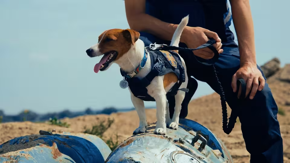 NATURE <br/>Saving the Animals of Ukraine