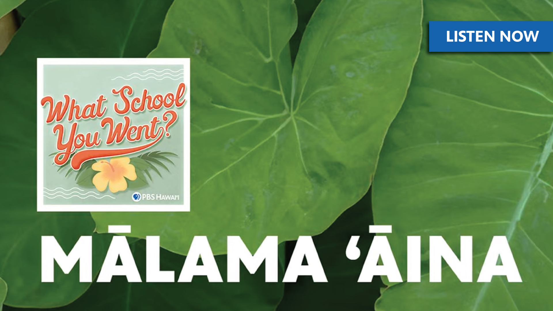 Mālama ʻĀina Foundation <br/>with Tahjra Alcoran and Haley Pimental