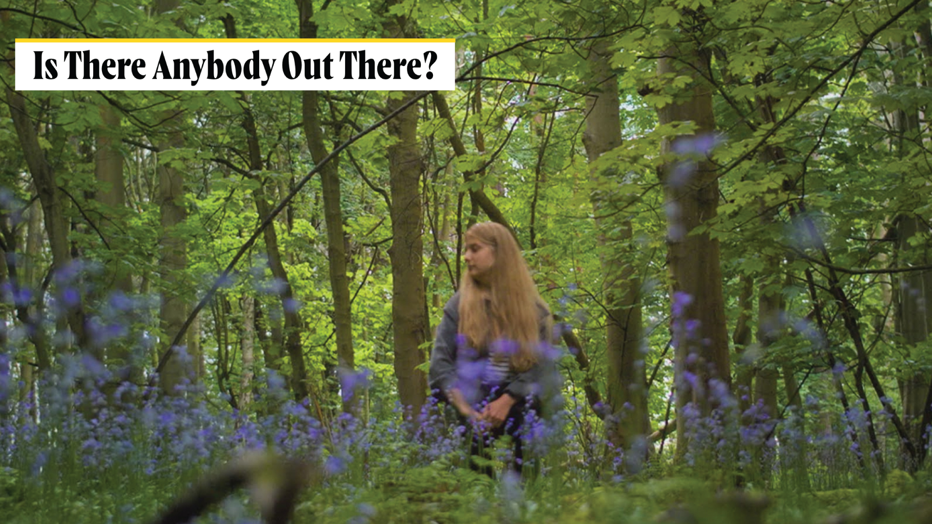 POV: Is There Anybody Out There?