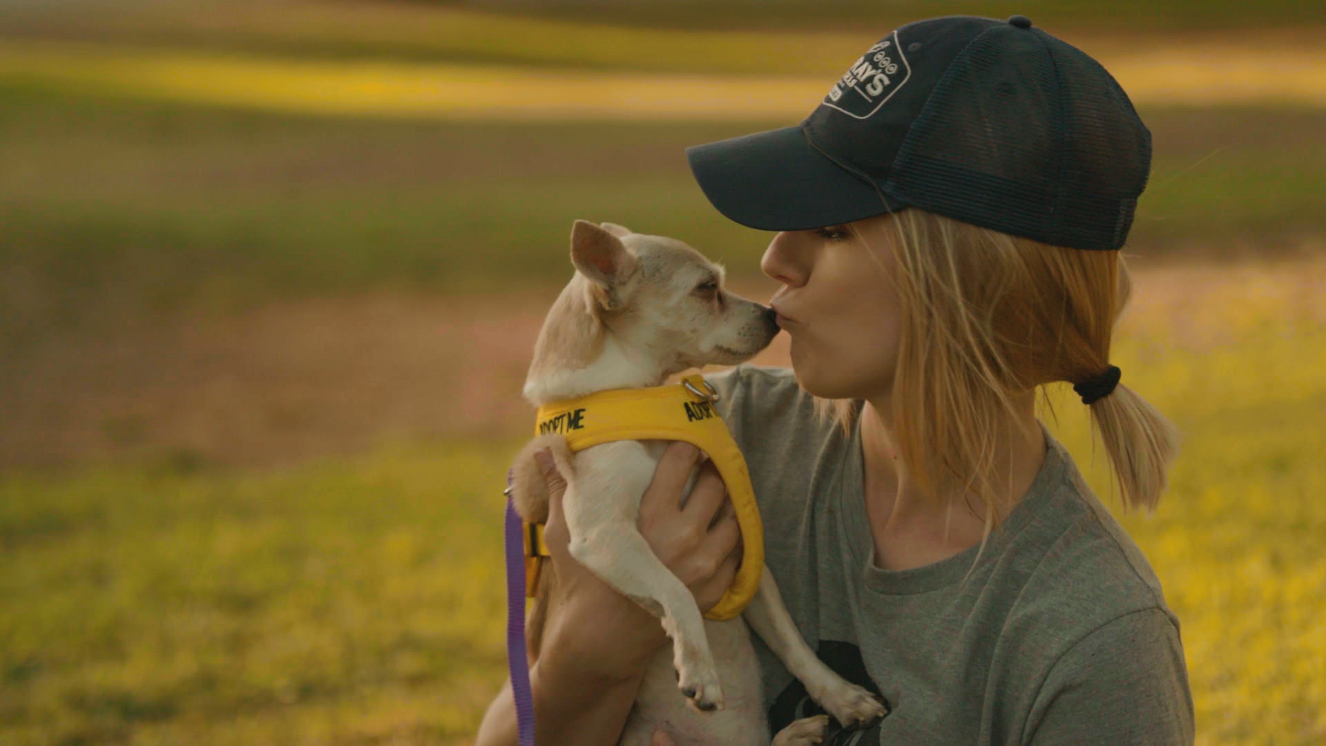 SHELTER ME: For the Love of Dog