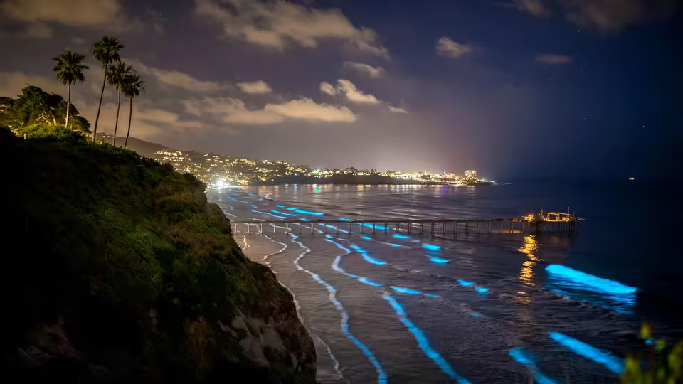 San Diego: America’s Wildest City <br/>NATURE