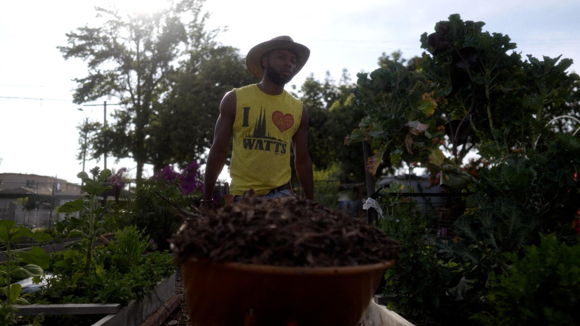10 DAYS IN WATTS:  Legacy