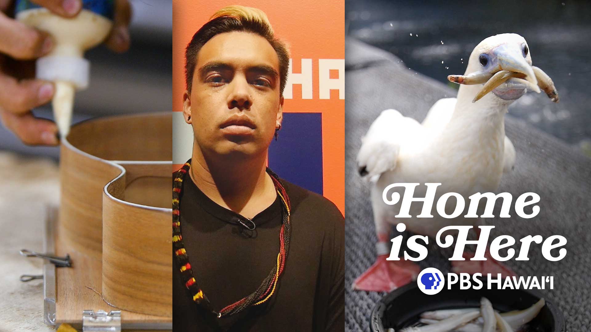 KoAloha &#8216;Ukulele, Kauwila Mahi, Hawai&#8217;i Wildlife Center <br/>Home is Here