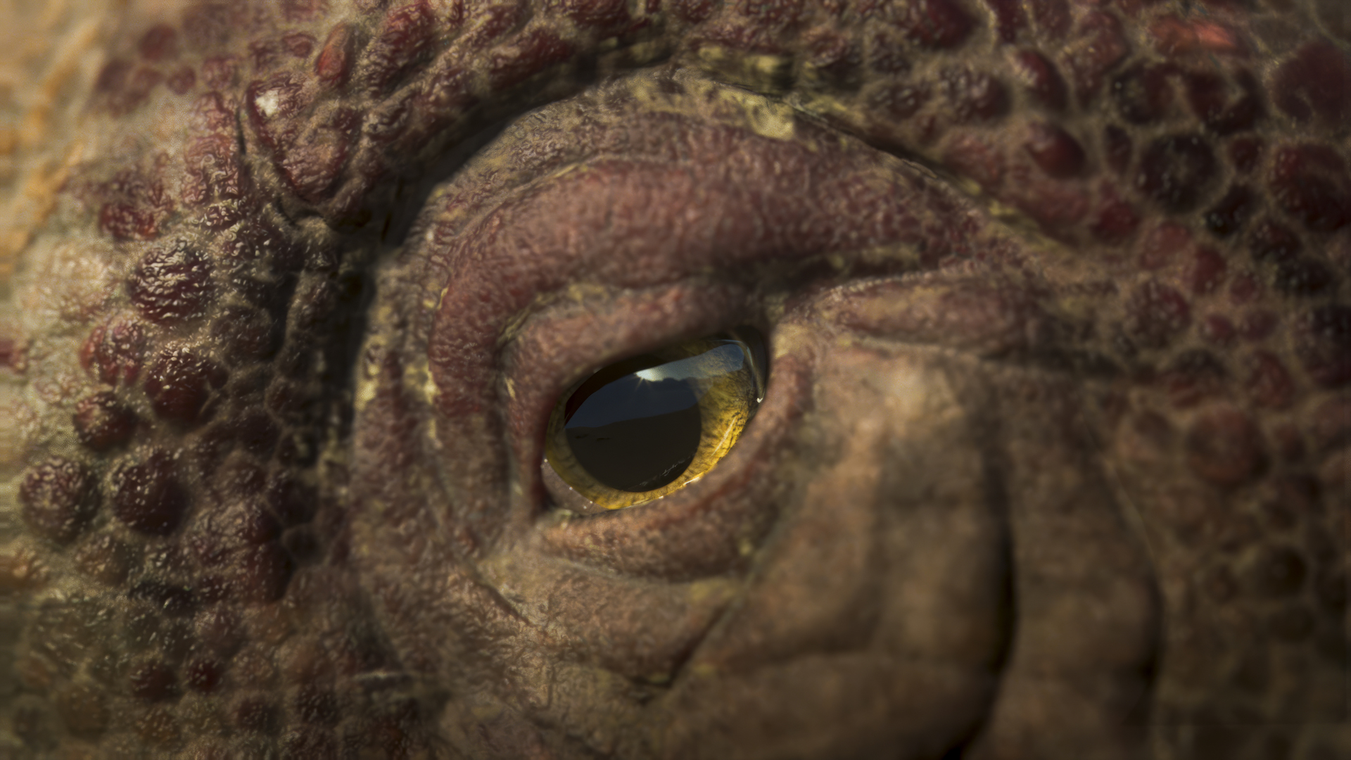 Picture Shows: VXF- Landscape
Close up of a Lusotitan eye