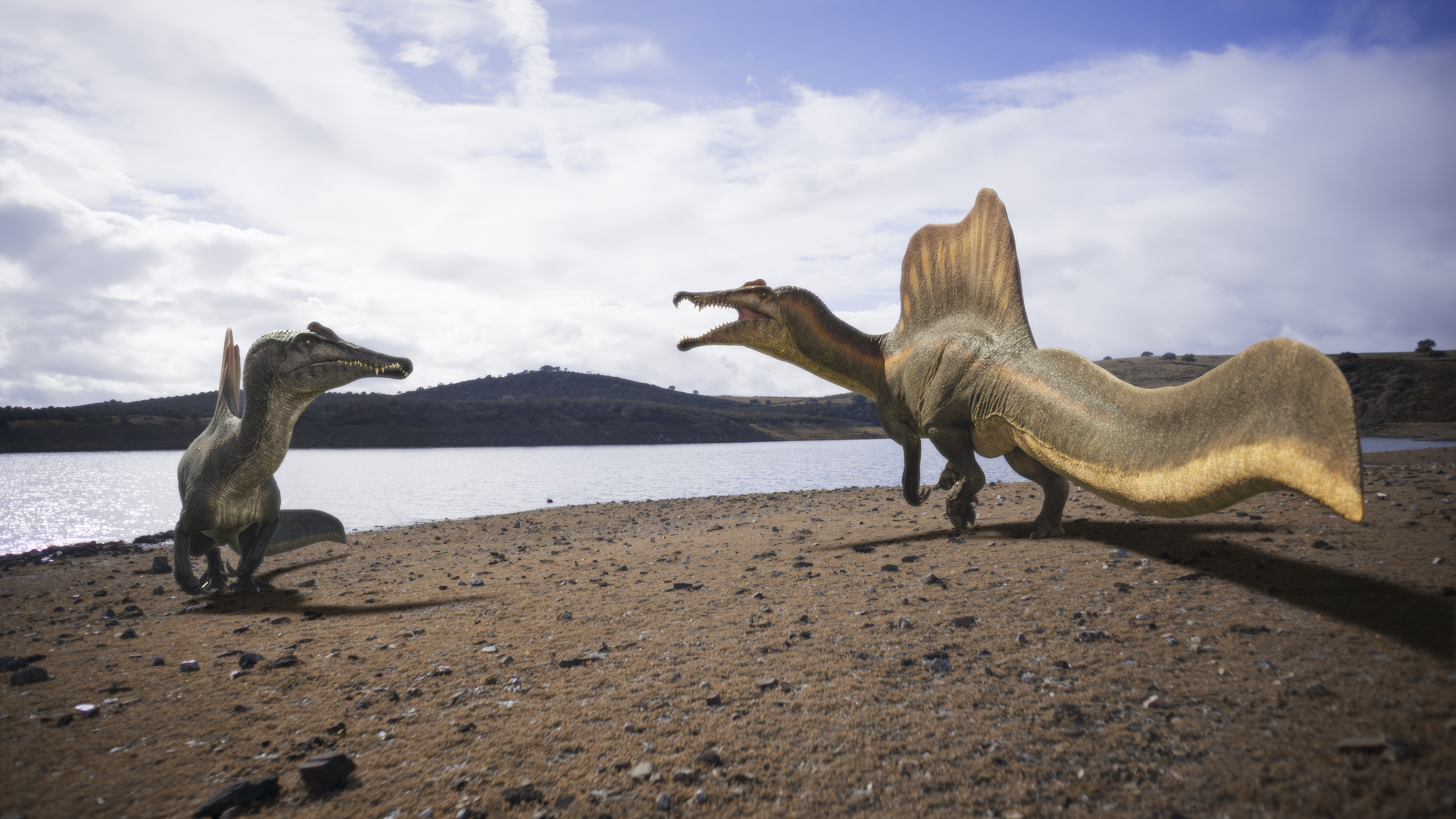 Picture Shows: VFX - Landscape
Two adult Spinosaurus square off on a riverbank