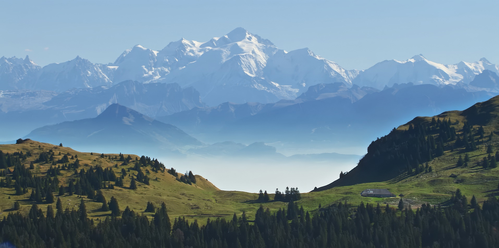 A Wild Renaissance <br/>OUR NEW WORLD