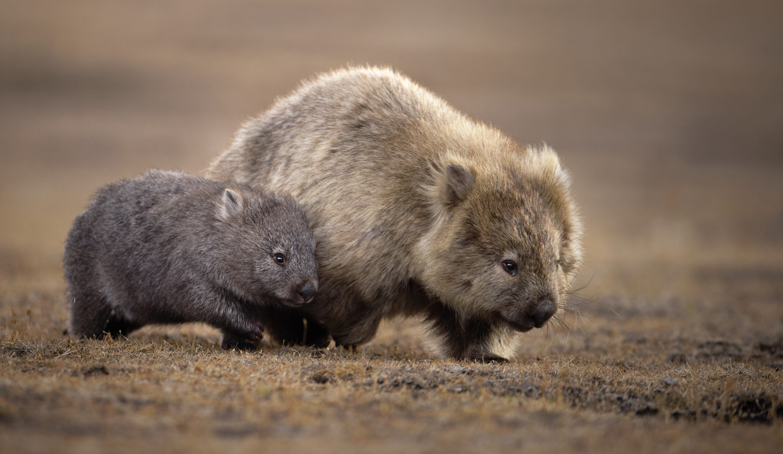 The Pulse of Change <br/>OUR NEW WORLD