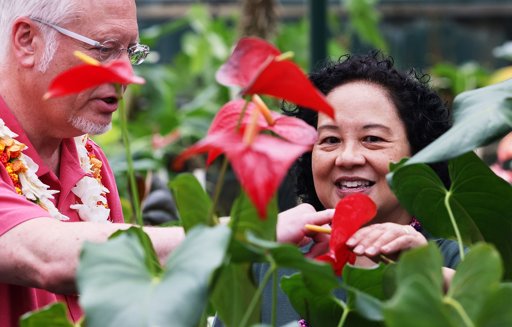 J SCHWANKE’S LIFE IN BLOOM