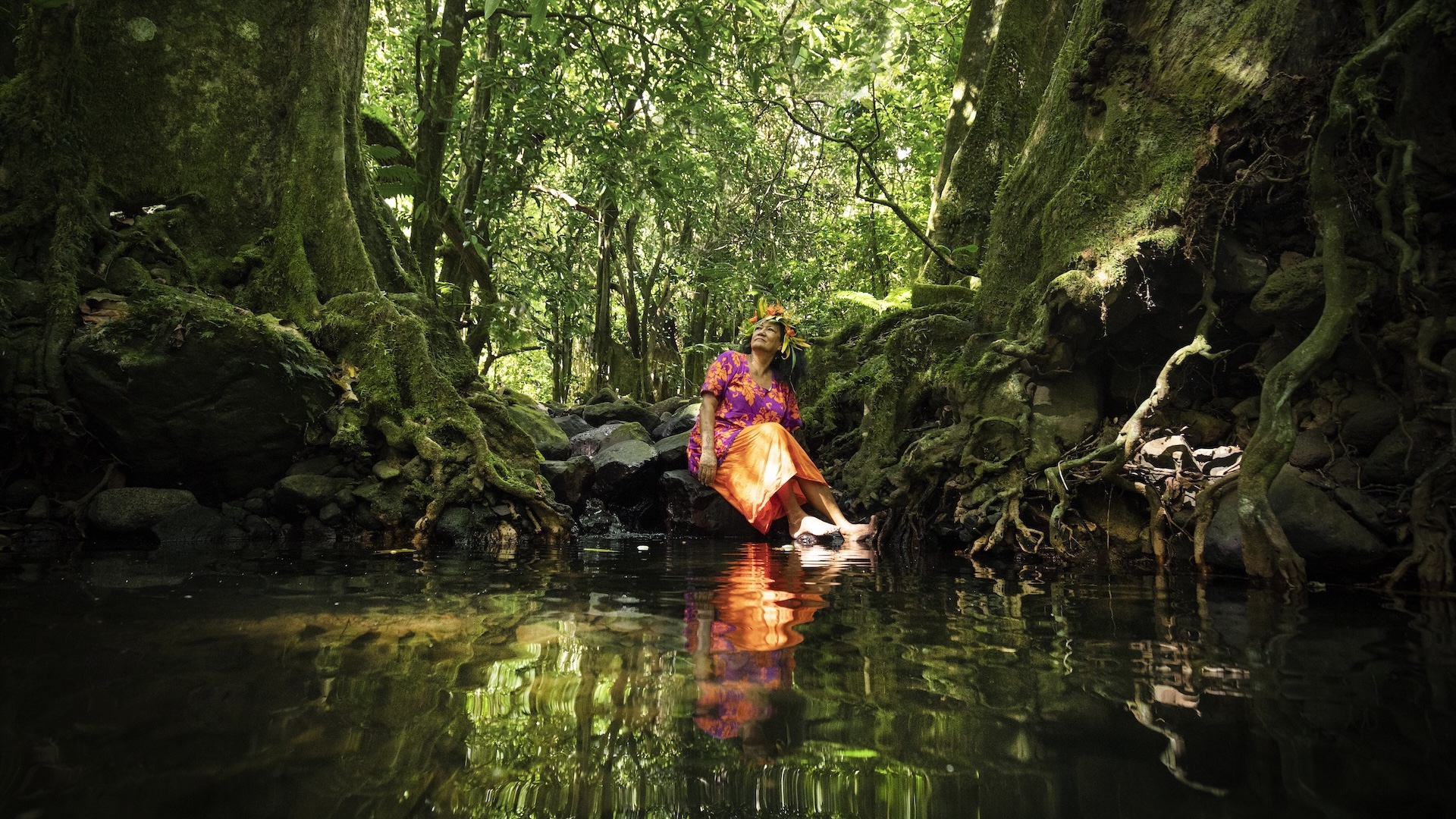 Te Puna Ora (The Source of Life) <br/>Pacific Heartbeat