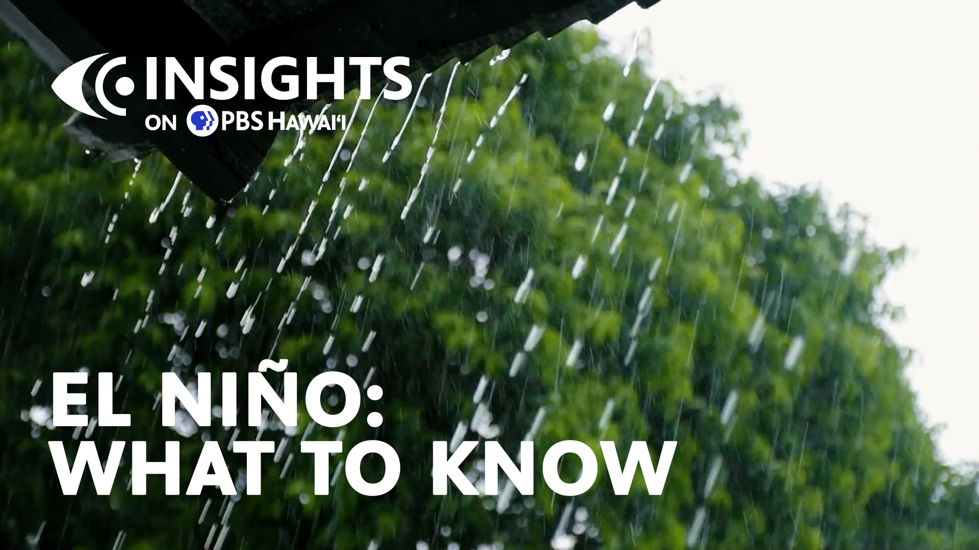 El Niño: What to Know <br/>Insights on PBS Hawaiʻi